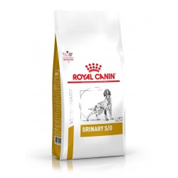 Royal Canin Urinary S/O Pies