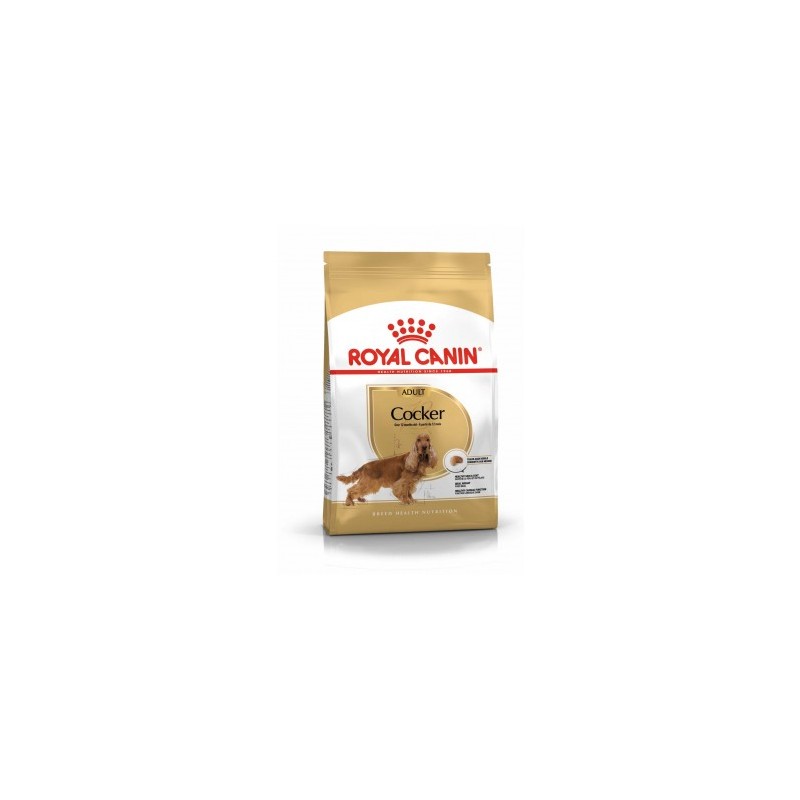Royal Canin Cocker