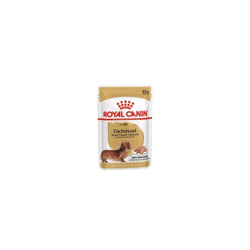 Royal Canin Dachshund 12xSaszetka