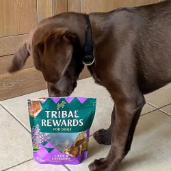 TRIBAL Rewards Ser, Marchewka i Nasiona słonecznika 125g - Ciastka dla psa domowej produkcji