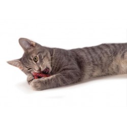 Petstages Precel czyszczący zęby - zabawka dentystyczna dla kota
