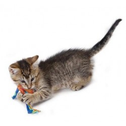 Petstages Gryzaki do higieny zębów - zabawka dentystyczna dla kota